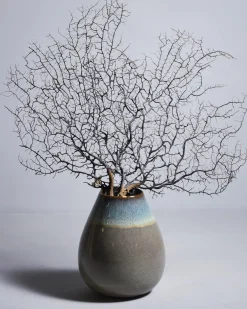 Madeira - Vase